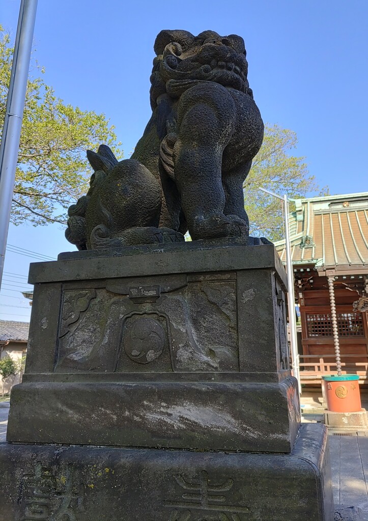 [狛犬]左