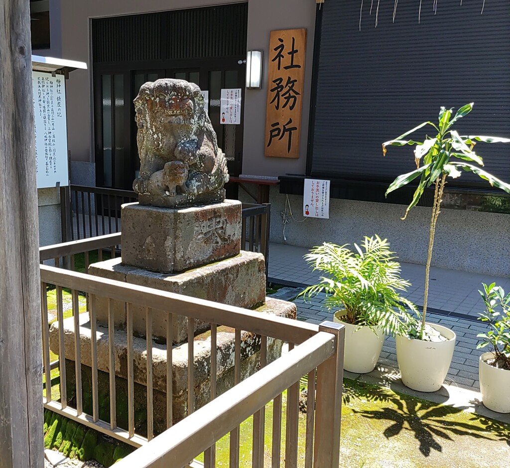 [狛犬]右
