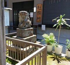 [狛犬]右
