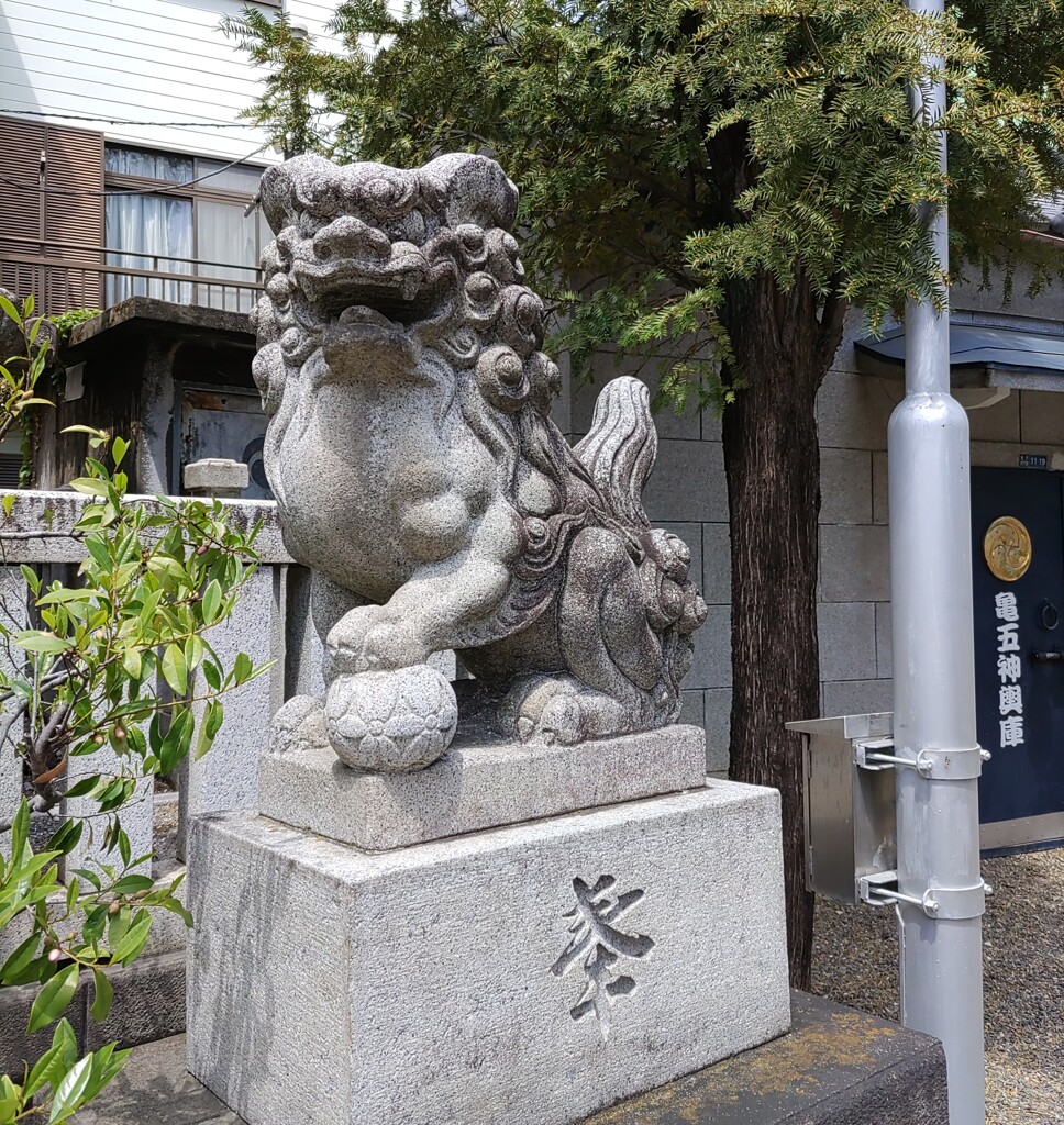 [狛犬]右