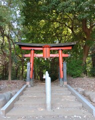 [神社]氷川