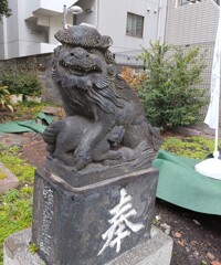 [狛犬]右