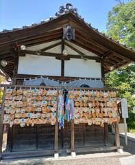 [八坂神社]