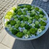 [花手水]