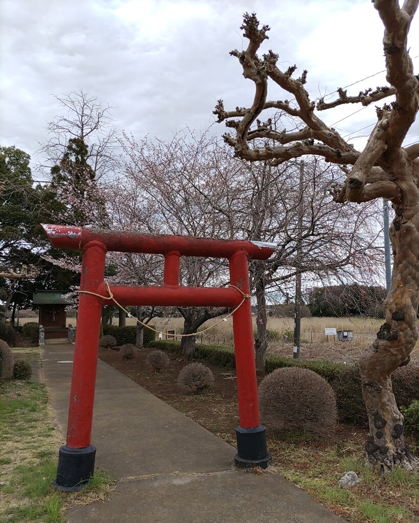 [神社]弁天