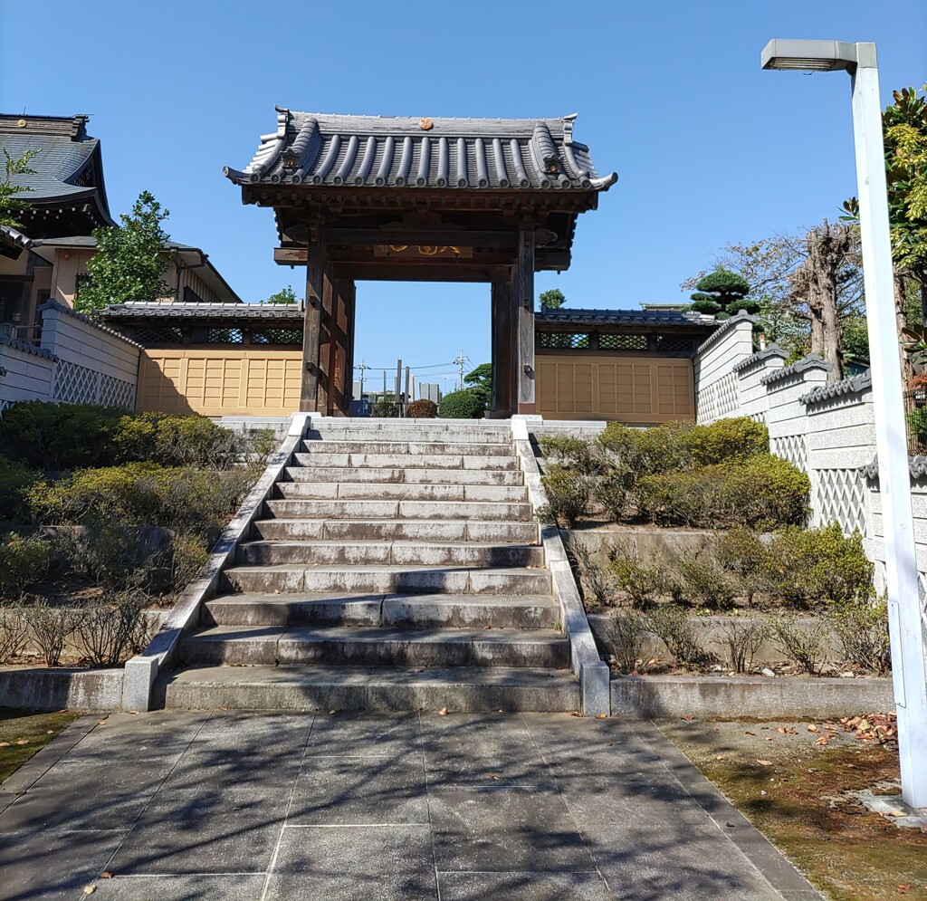 【建】通