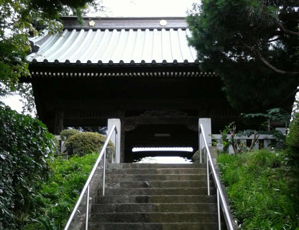 通[寺門]