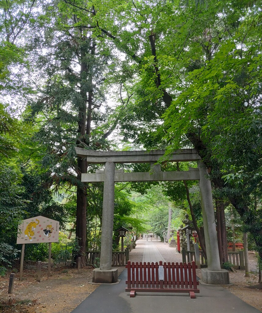 [久伊豆神社]