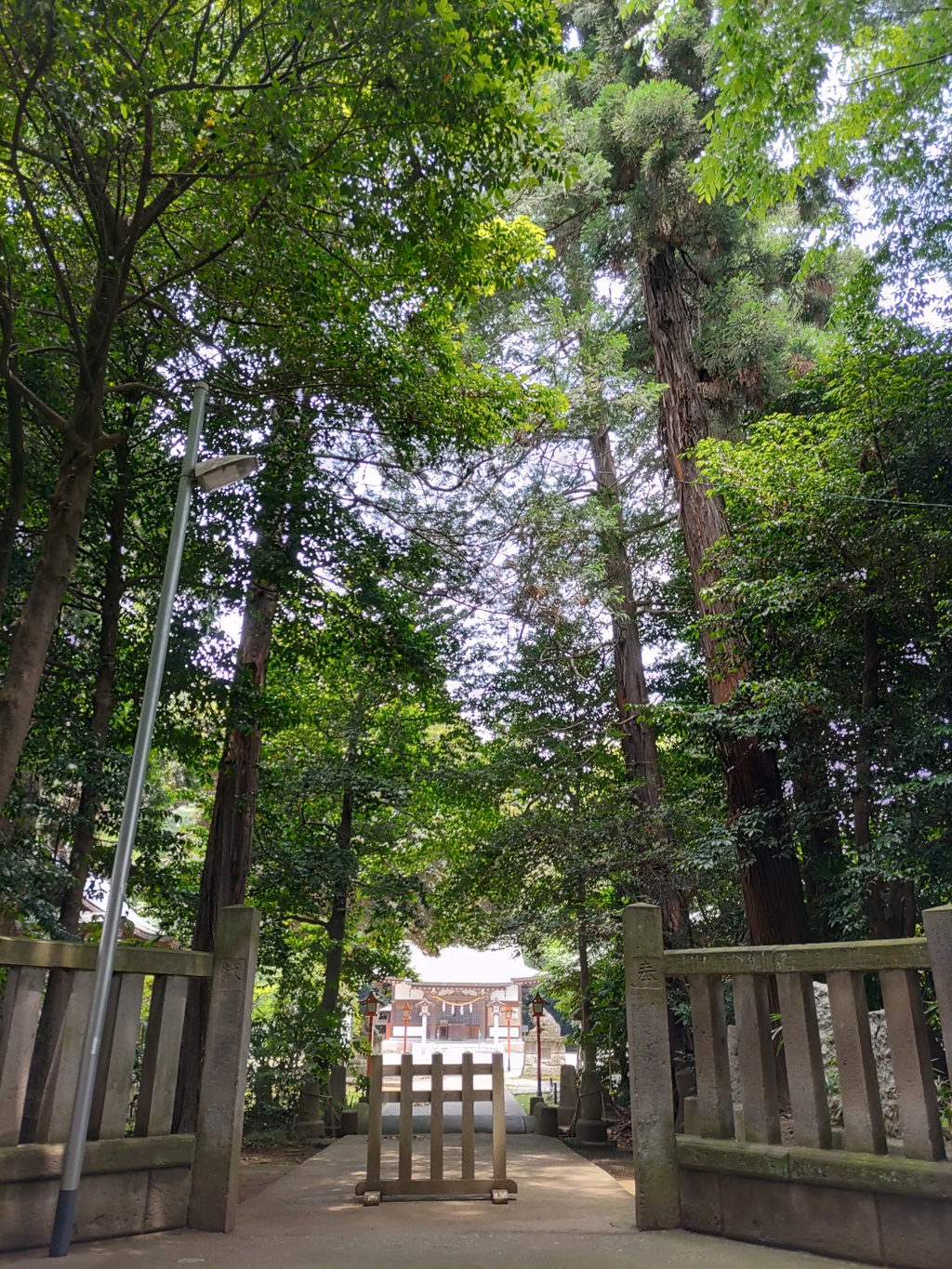 [神社]氷川