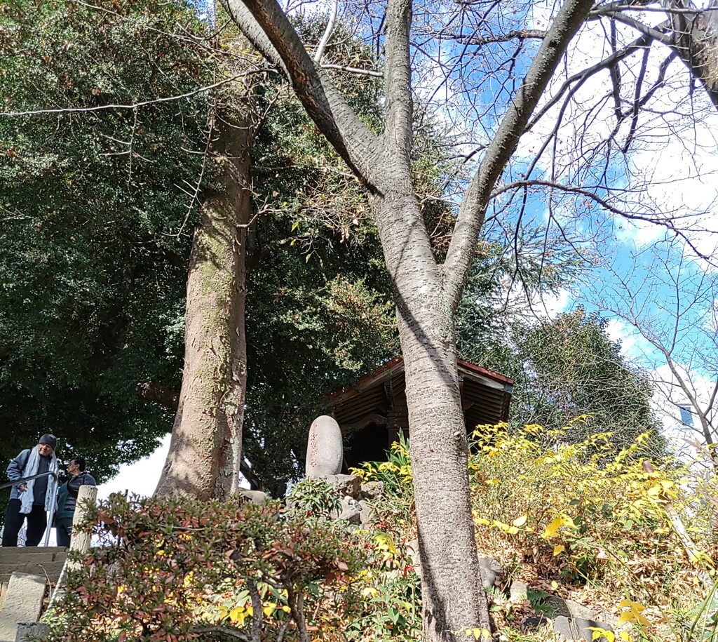 [小御嶽社]