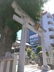 [柏神社]