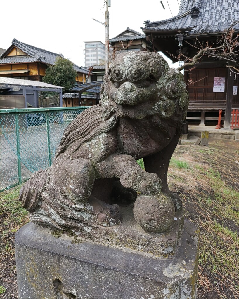 [狛犬]左