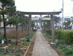 『氷川神社』