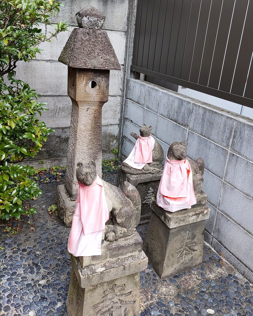 [神使]狐