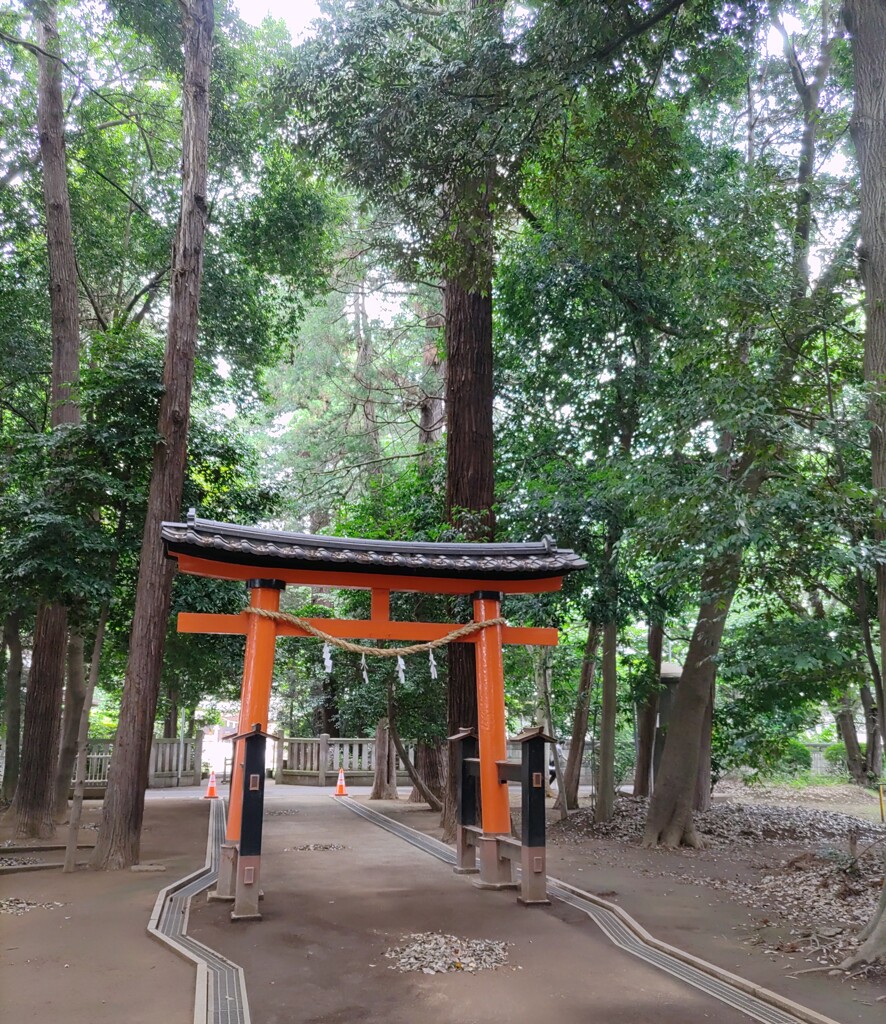 [神社]氷川