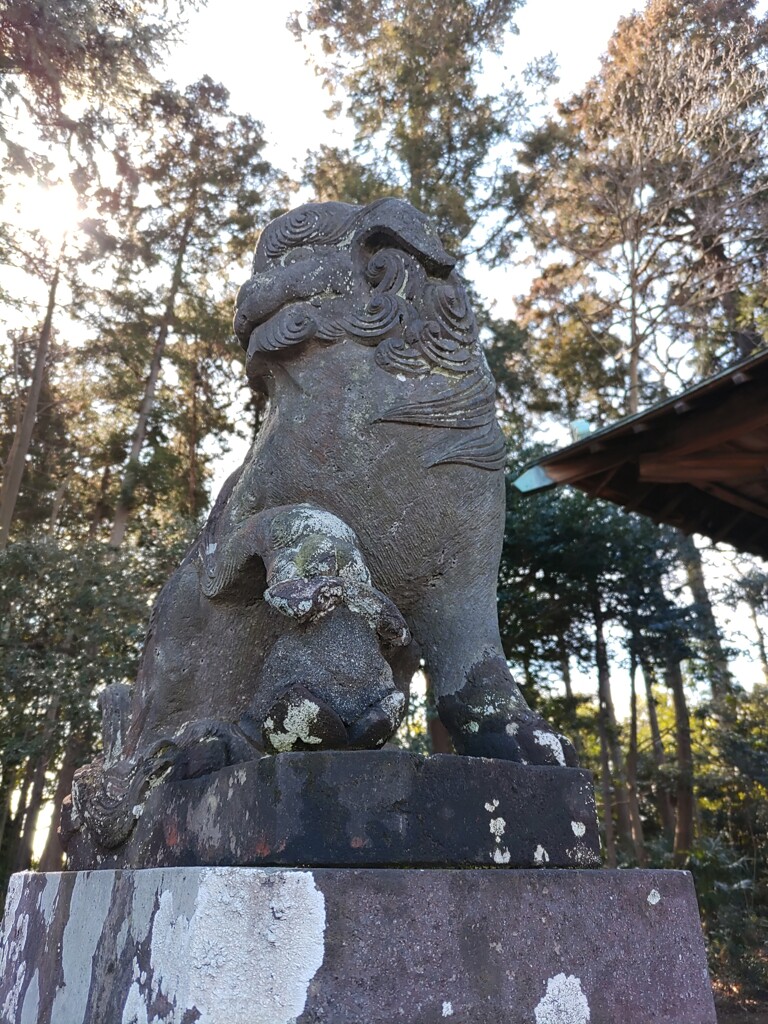 [狛犬]左