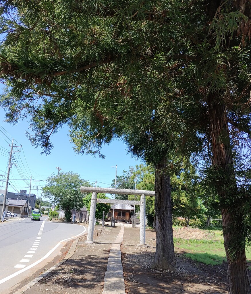 [氷川神社]