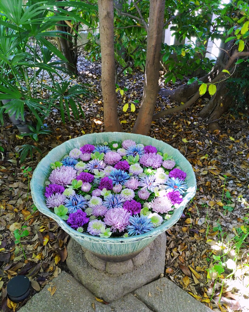 [花手水]