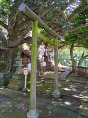 [松尾神社]