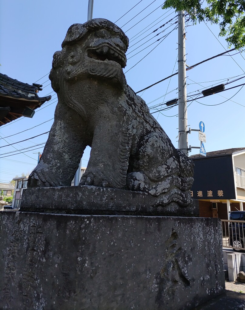 [狛犬]右
