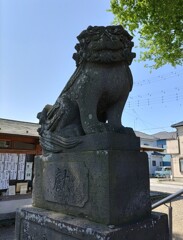 [狛犬]