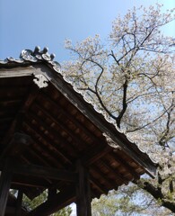 [屋根]