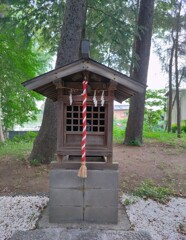 [大杉神社]