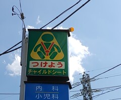 版