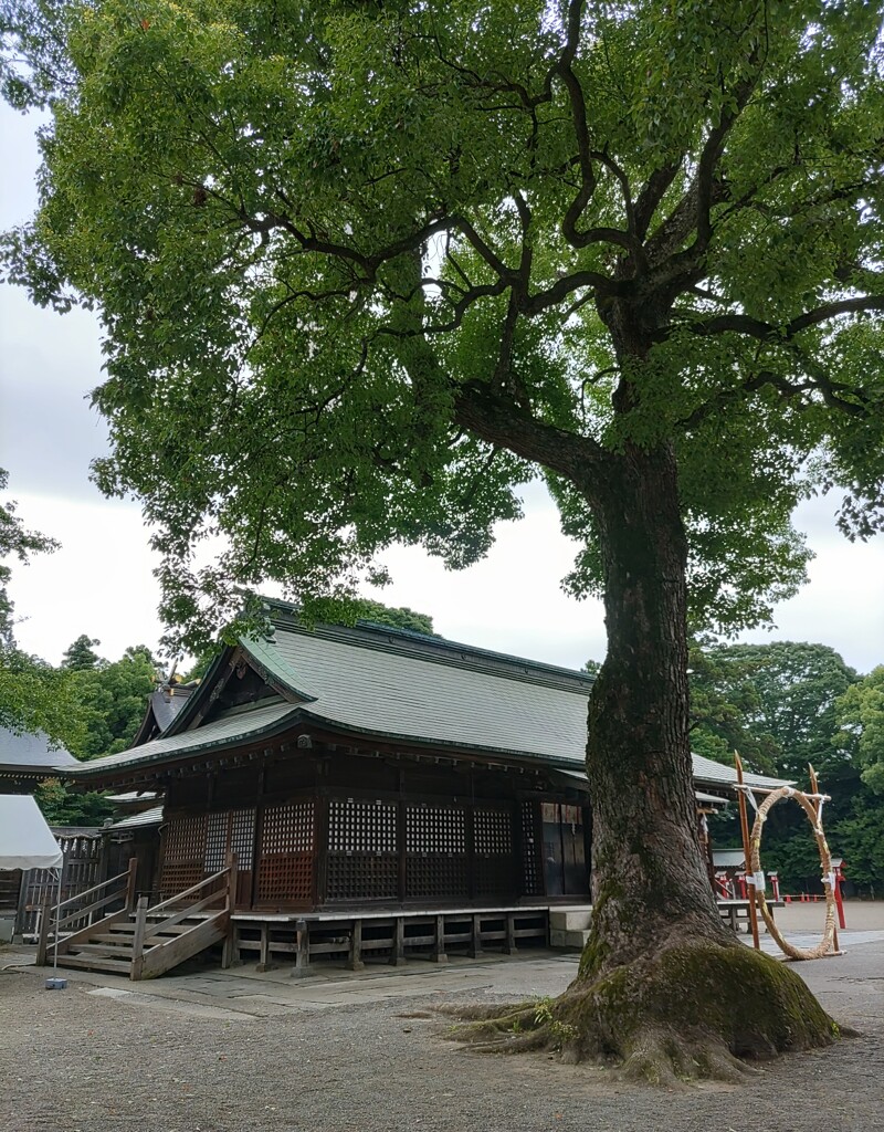 [神社]鷲宮