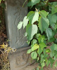 [庚申塔]
