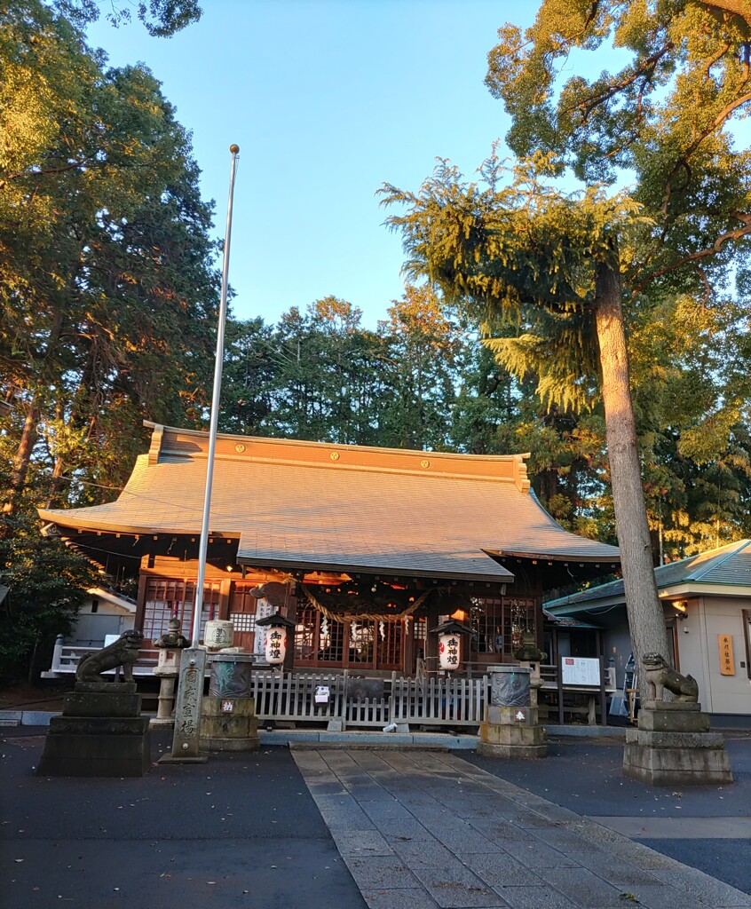 [氷川神社]