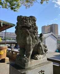 [狛犬]右