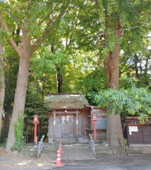 [神社]八坂