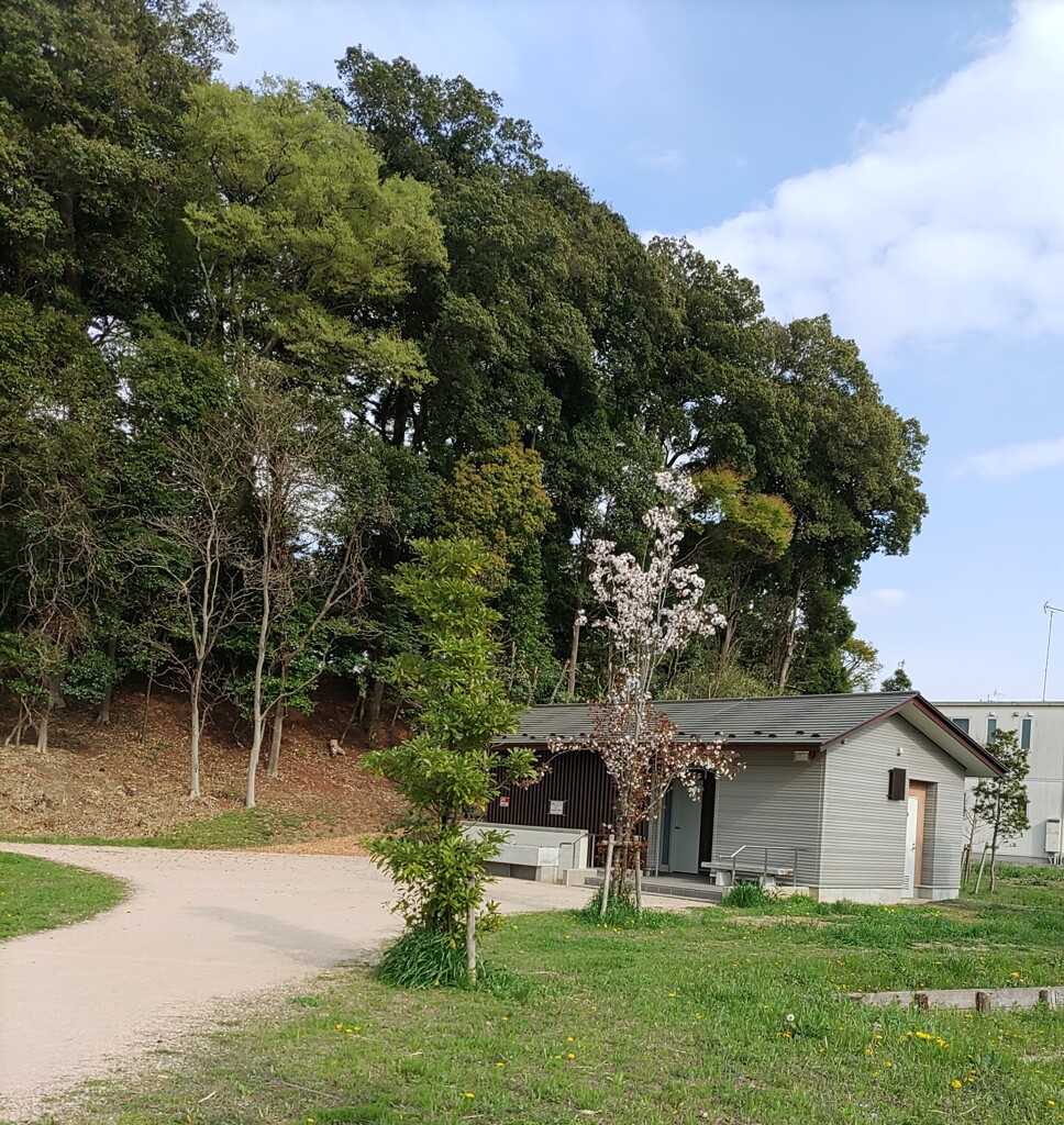 【街中】ﾄｲﾚ