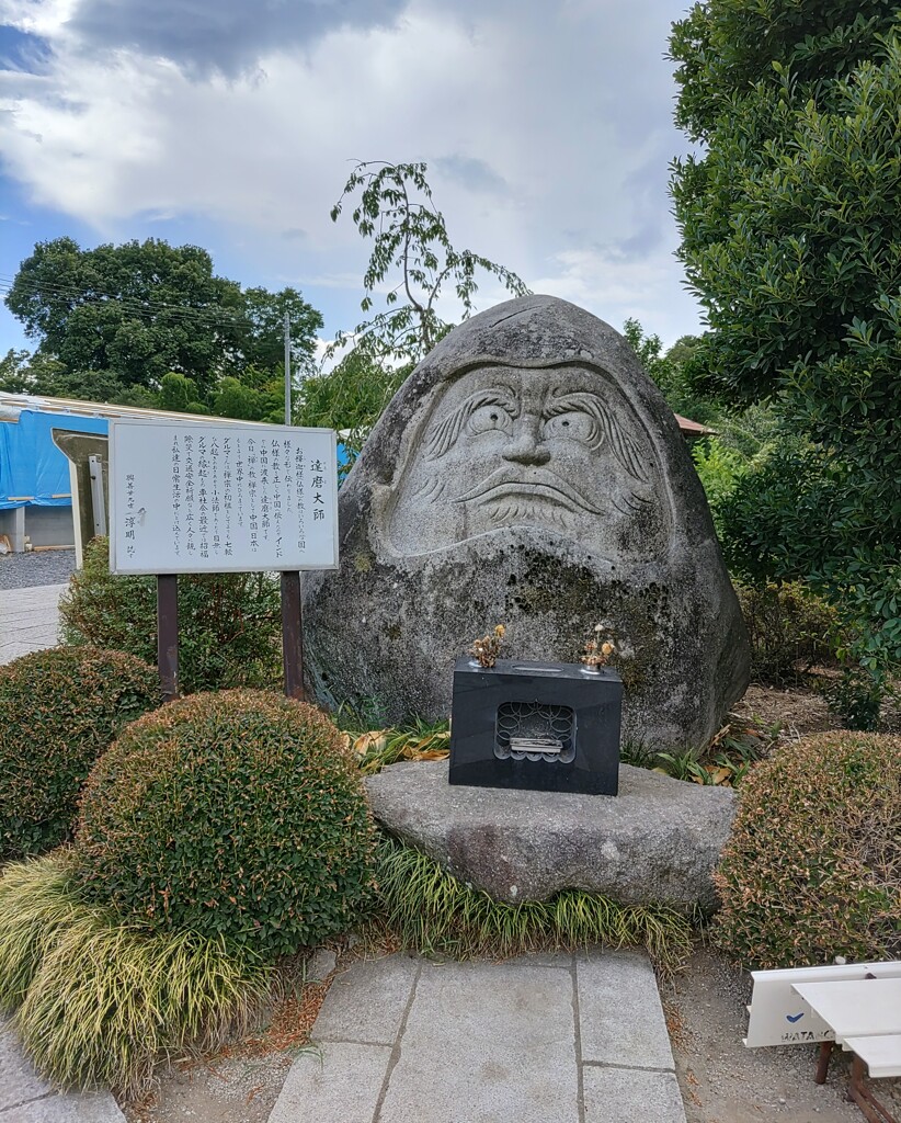 【ｵｳﾞｼﾞｪ】達磨