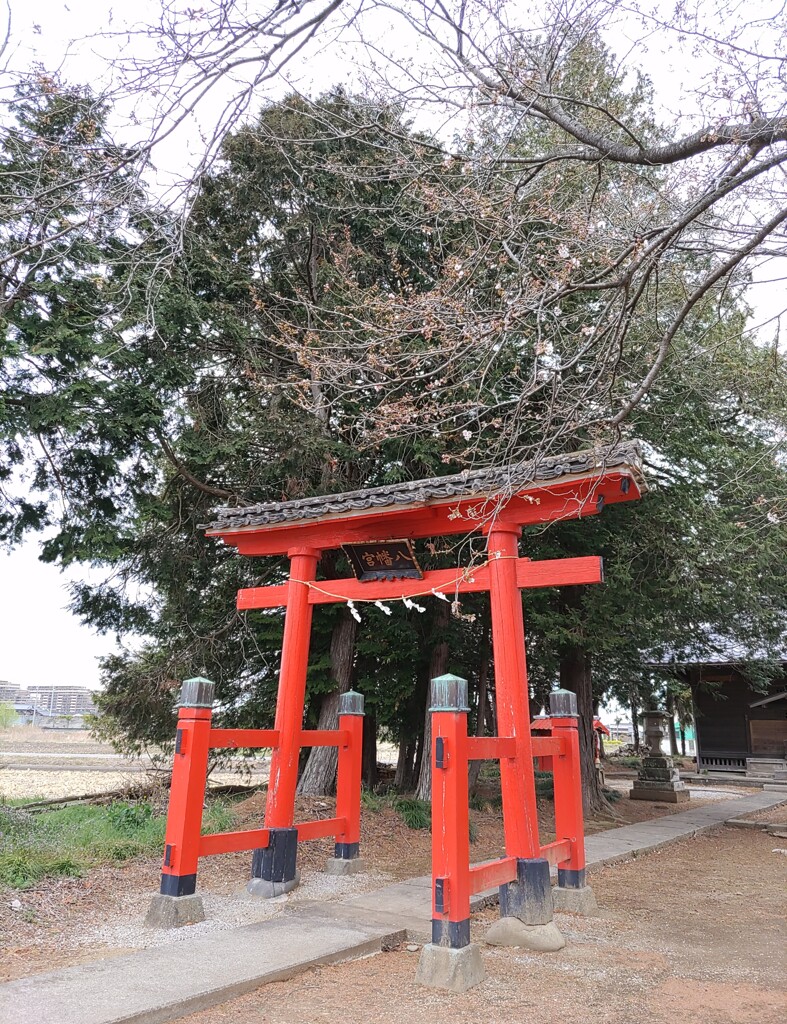 [神社]八幡