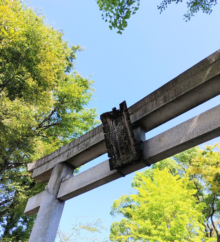 [神社]氷川