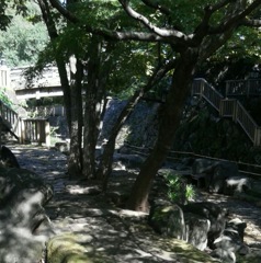 [公園]