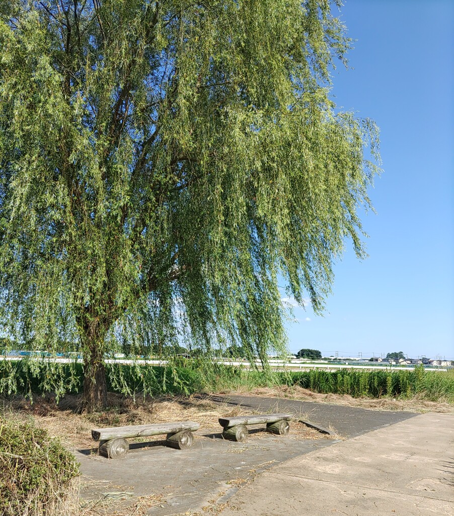 【休】ﾍﾞﾝﾁ