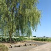 【休】ﾍﾞﾝﾁ