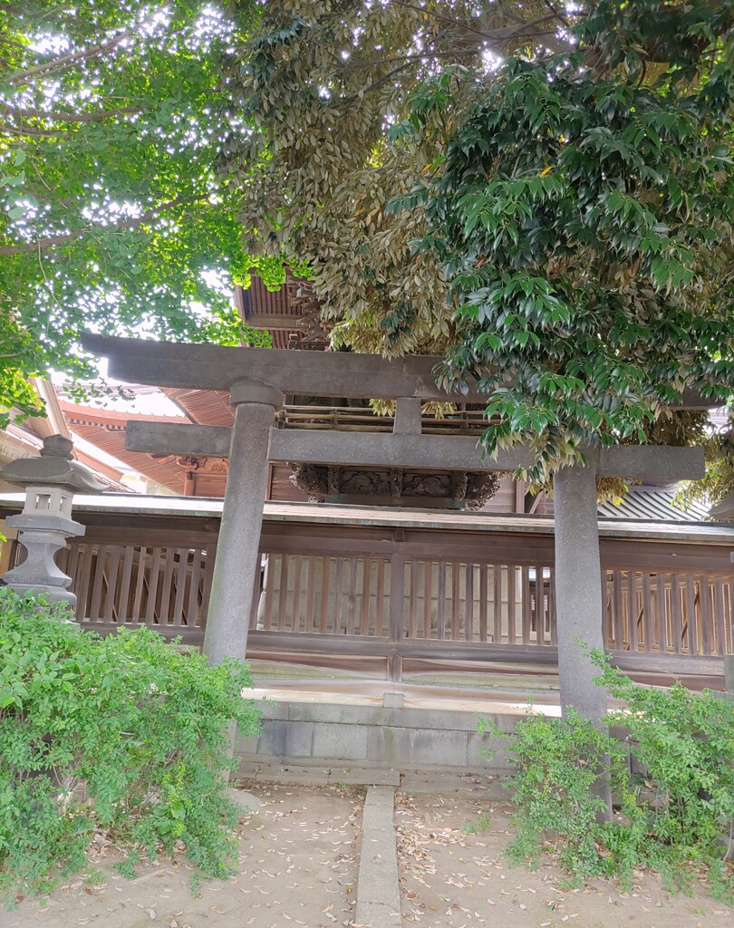 [伊勢崎神社]