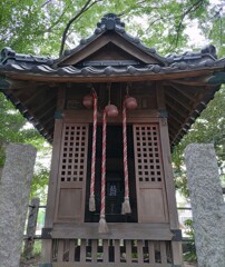 [雷電神社]