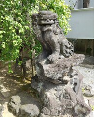 [狛犬]右