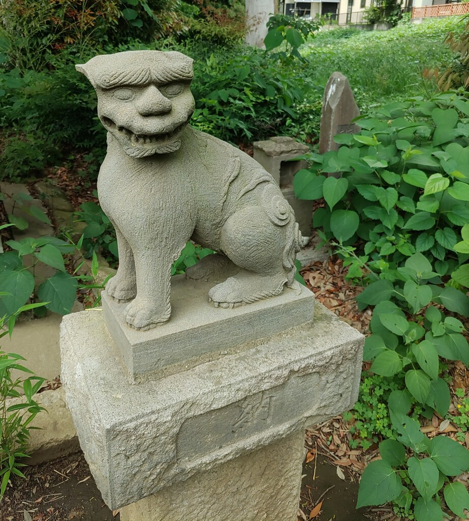 [狛犬]右