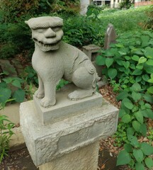 [狛犬]右