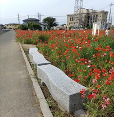 憩[ﾍﾞﾝﾁ]