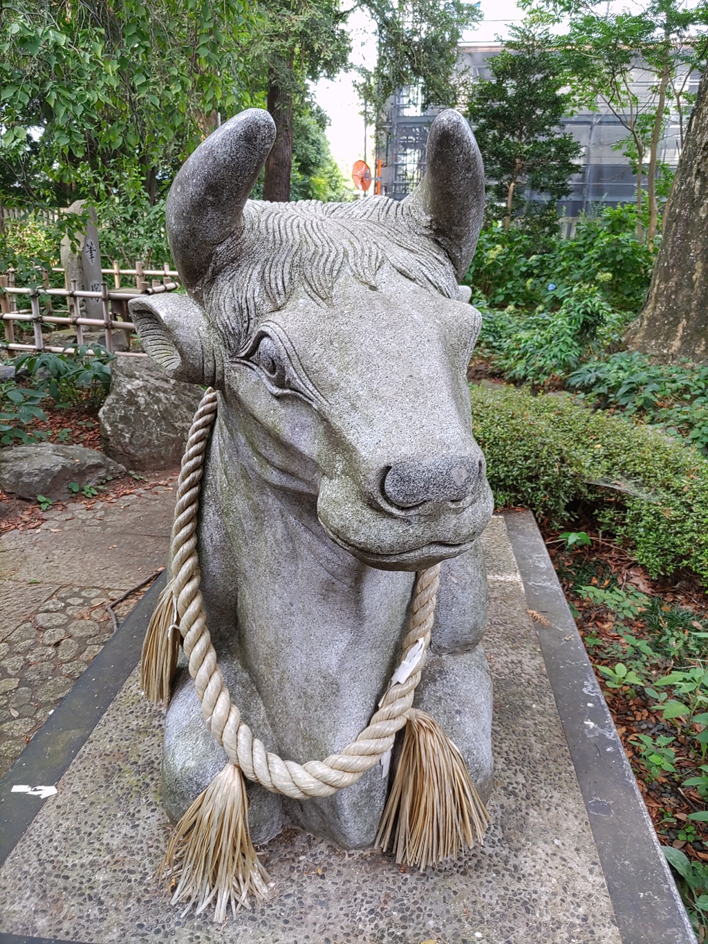 [神使]牛