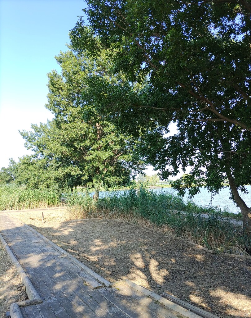 【径】歩