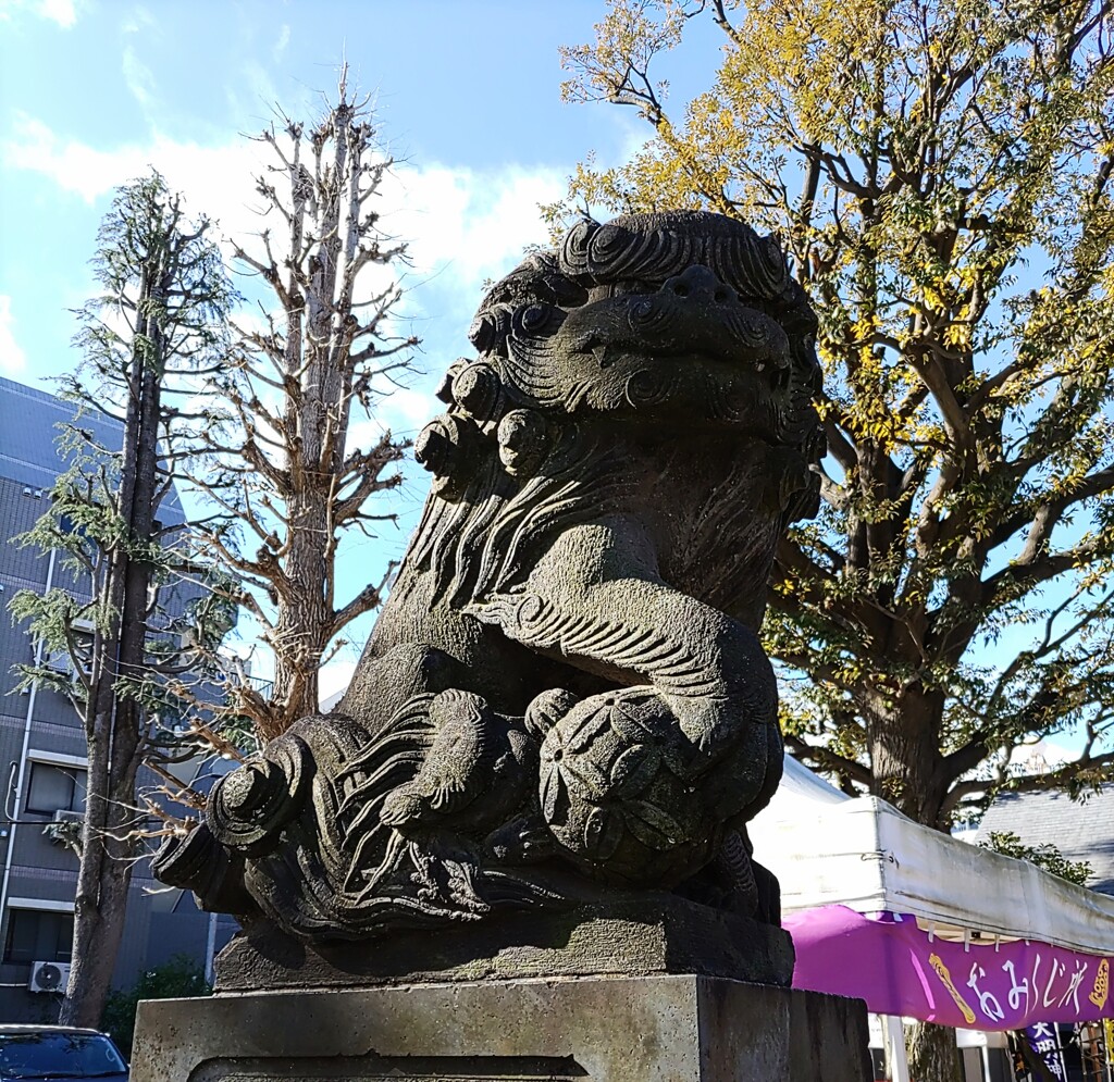 [狛犬]左