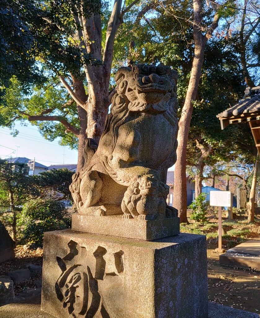 [狛犬]左